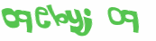 CAPTCHA 挑戰