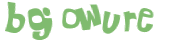 CAPTCHA 挑戰