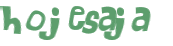 Captcha 챌린지