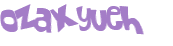 CAPTCHA 挑戰
