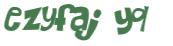 Wyzwanie captcha