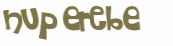 CAPTCHA 挑戰