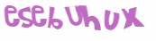 Desafio captcha