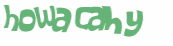 CAPTCHA 挑戰