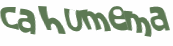 Prueba Captcha