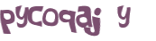 CAPTCHA 挑戰