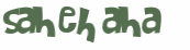Wyzwanie captcha