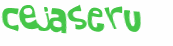 Captcha 챌린지