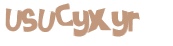 CAPTCHA 挑戰