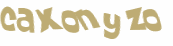 CAPTCHA-haaste