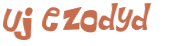Wyzwanie captcha