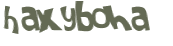 Captcha 챌린지