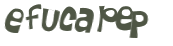 Captcha挑战