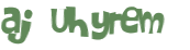 CAPTCHA 挑戰