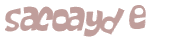 Sfida captcha