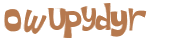 CAPTCHA 挑戰