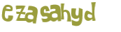 Wyzwanie captcha