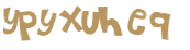 Captcha 챌린지