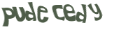 CAPTCHA 挑戰