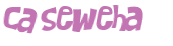 CAPTCHA 挑戰