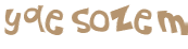 Captcha 챌린지