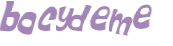 CAPTCHA 挑戰