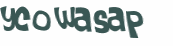 Captcha-Test