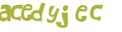 Wyzwanie captcha