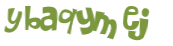 Captcha-Test
