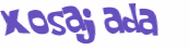 CAPTCHA 挑戰