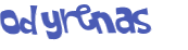 CAPTCHA 挑戰