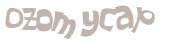 CAPTCHA 挑戰