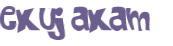 CAPTCHA 挑戰