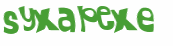 Captcha 챌린지