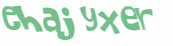 CAPTCHA 挑戰