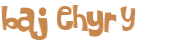 Captcha 챌린지