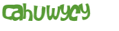 Captcha 챌린지