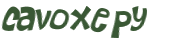 CAPTCHA 挑戰