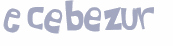 Wyzwanie captcha