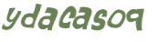 Captcha 챌린지