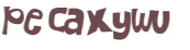 CAPTCHA 挑戰