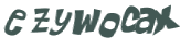 CAPTCHA 挑戰