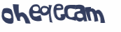 CAPTCHA 挑戰