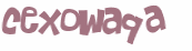 Wyzwanie captcha