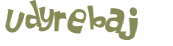 Captcha-udfordring