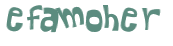 CAPTCHA 挑戰