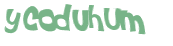 Desafio Captcha