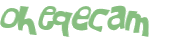 CAPTCHA 挑戰