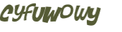 Captcha-test