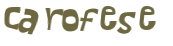 CAPTCHA 挑戰